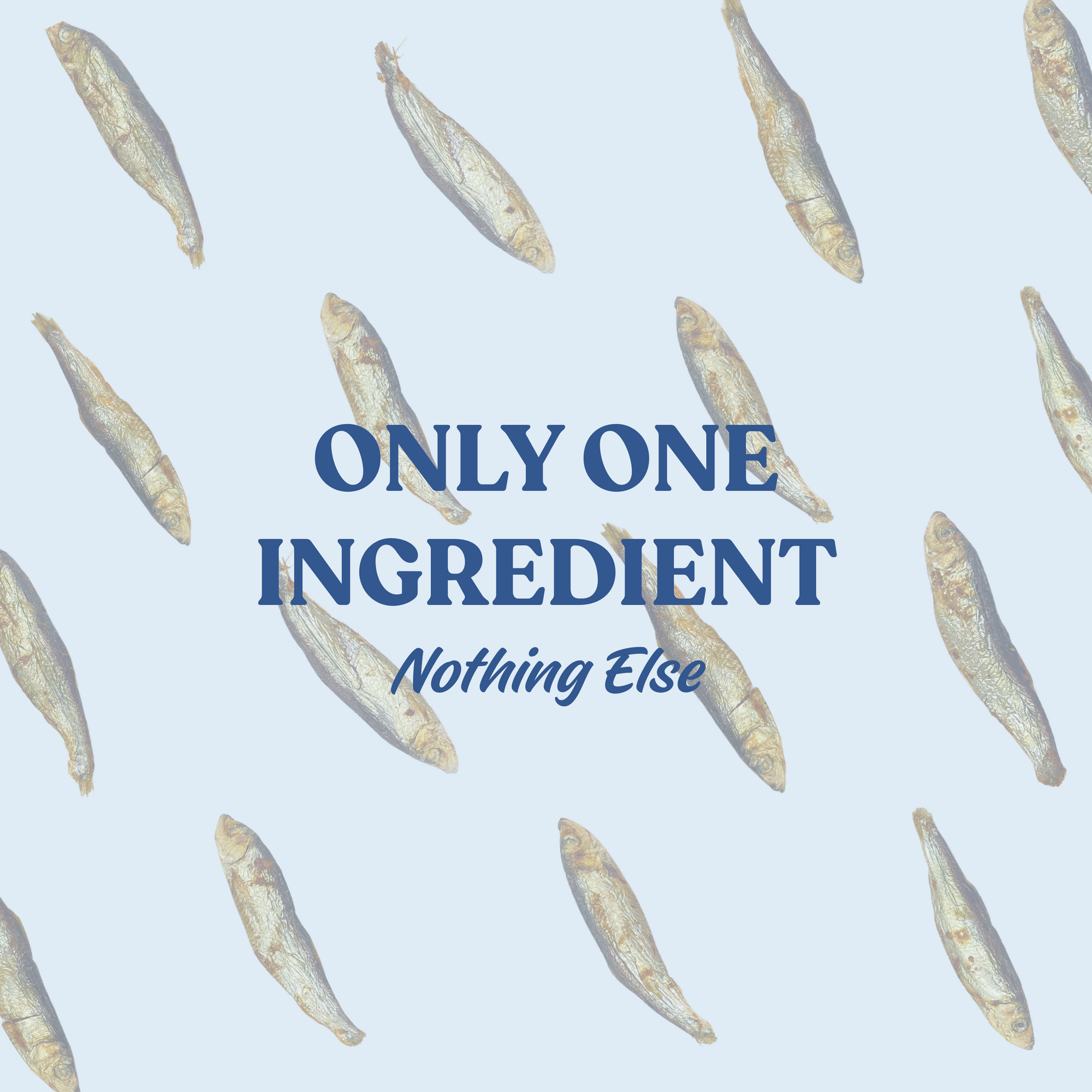 Air Dried Herring Fish