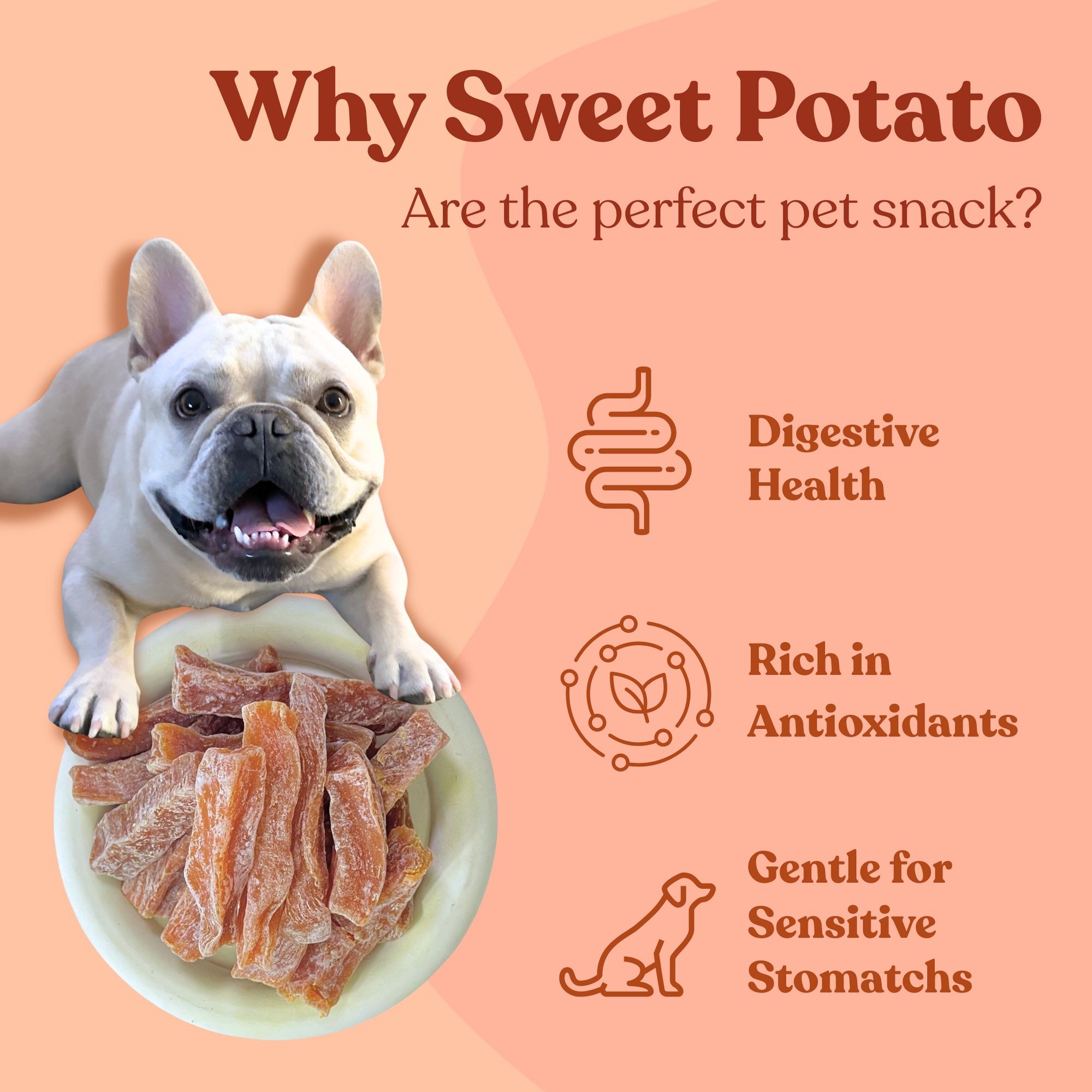 Air Dried Sweet Potato Strips