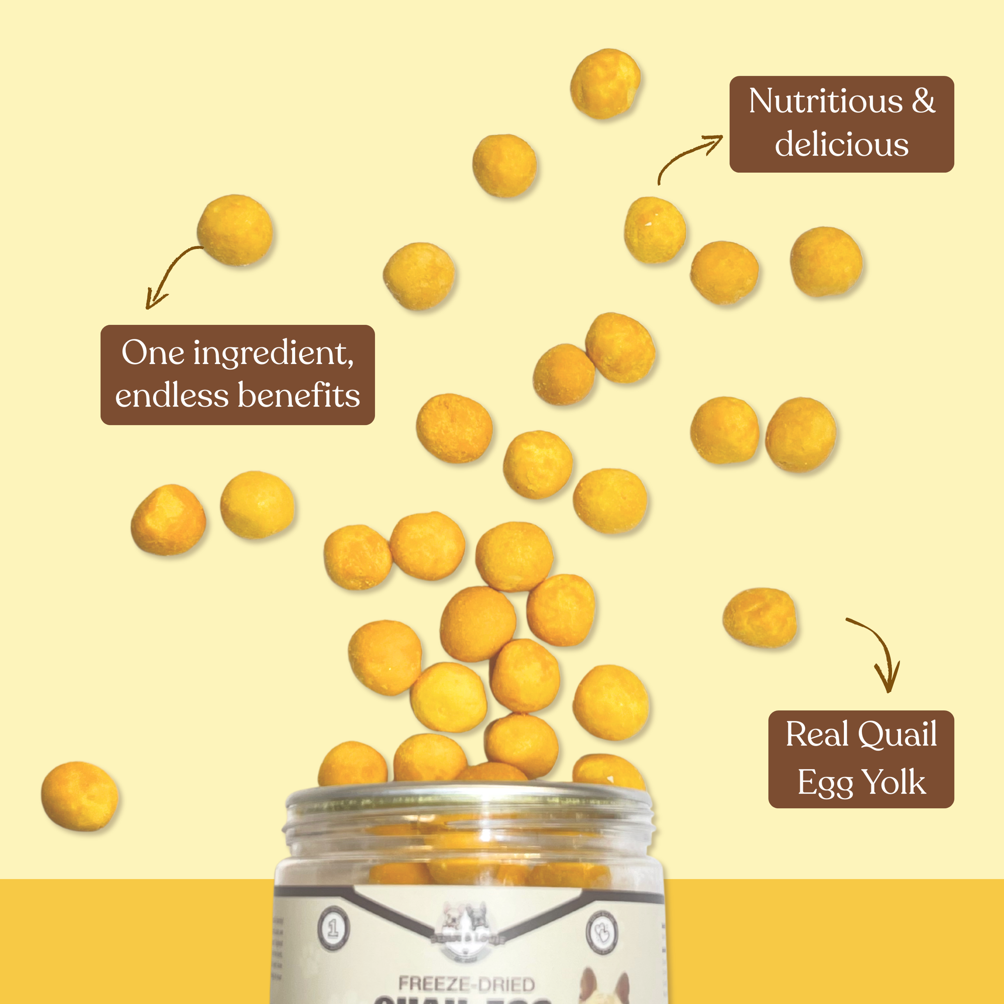 Freeze Dried Quail Egg