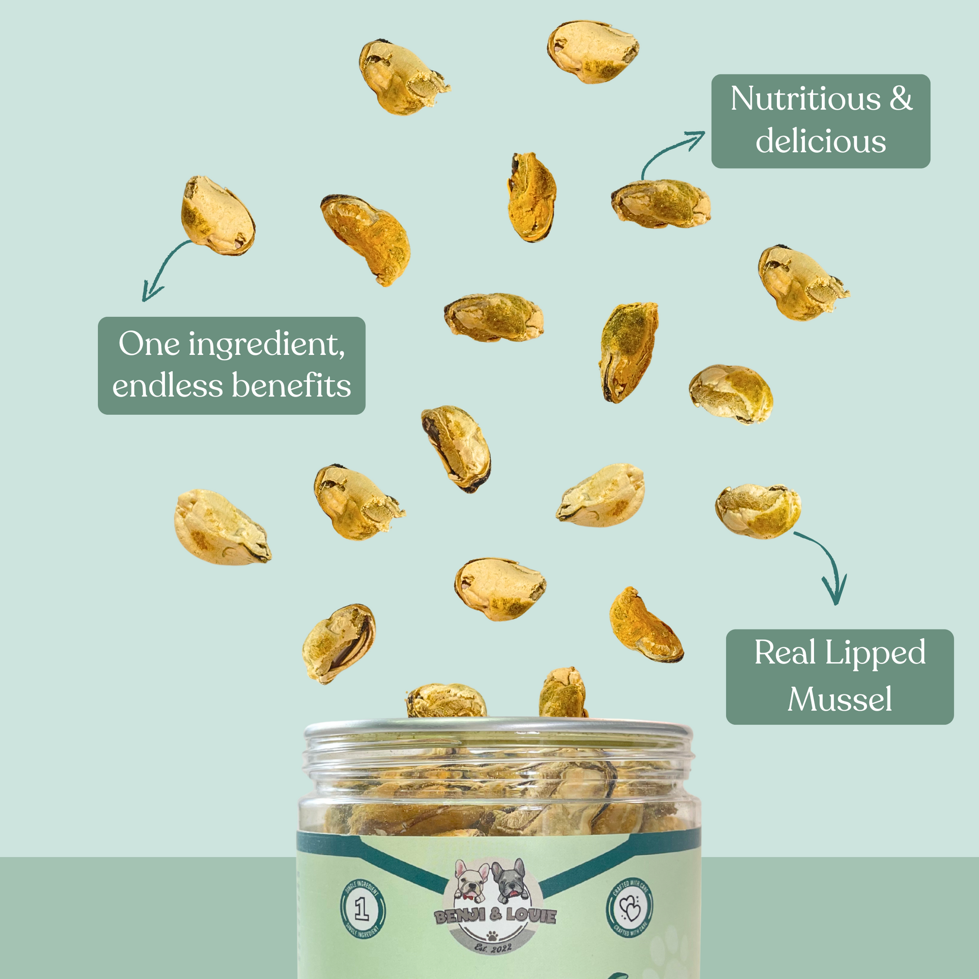 Freeze Dried Green Lipped Mussels