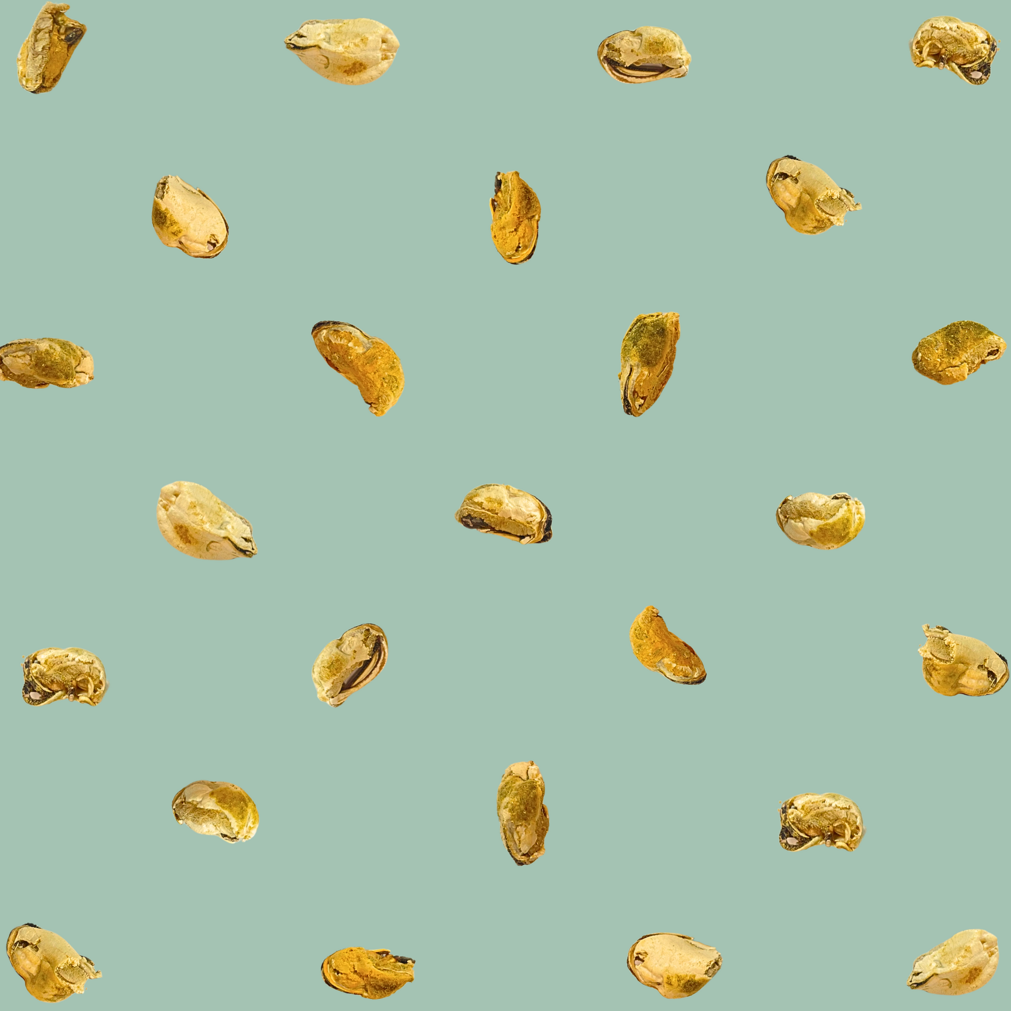 Freeze Dried Green Lipped Mussels