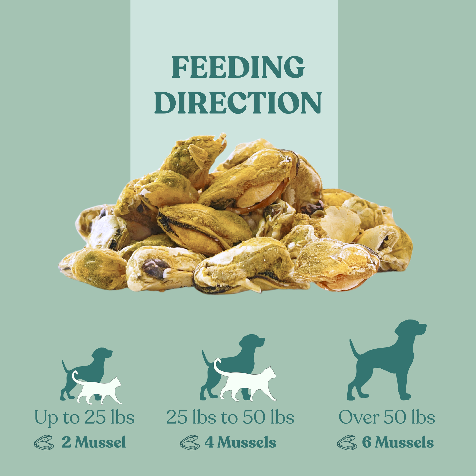 Freeze Dried Green Lipped Mussels