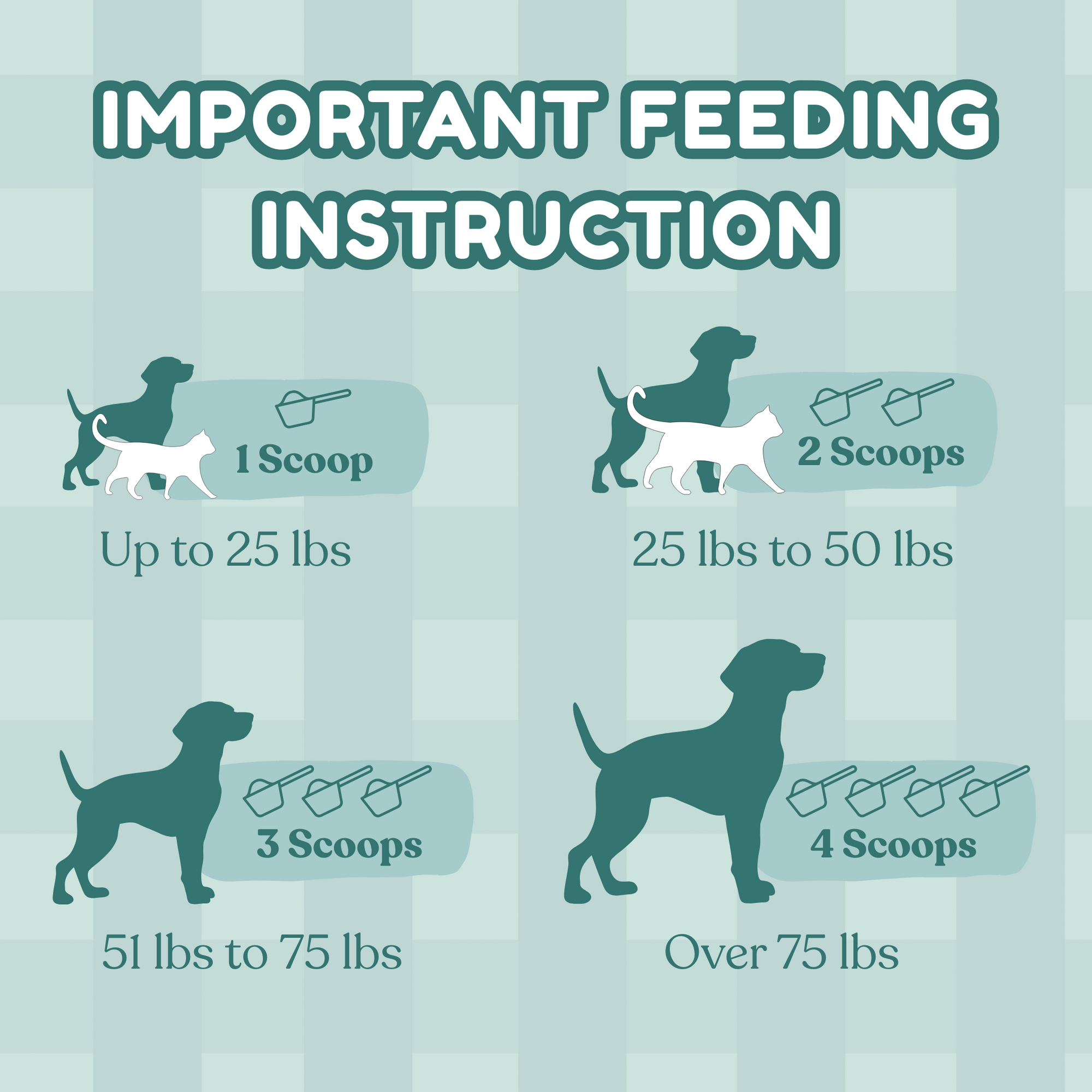 Green Lipped Mussels Powder