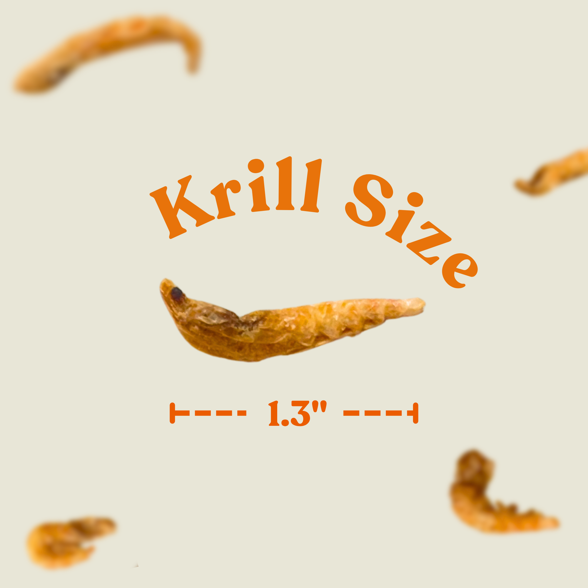Krill