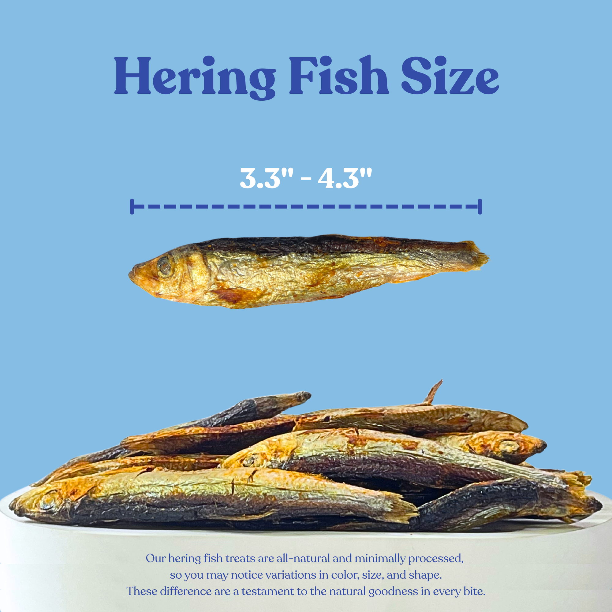 Air Dried Herring Fish