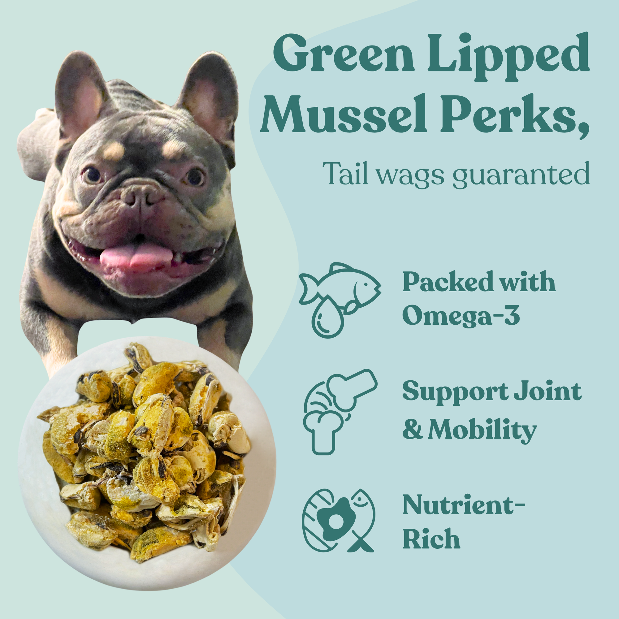 Freeze Dried Green Lipped Mussels