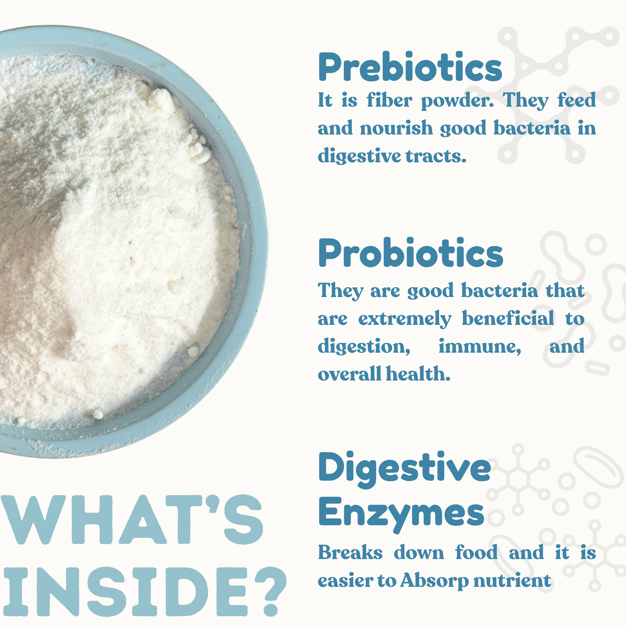 Probiotics, Prebiotics, and Digestive Enzymes