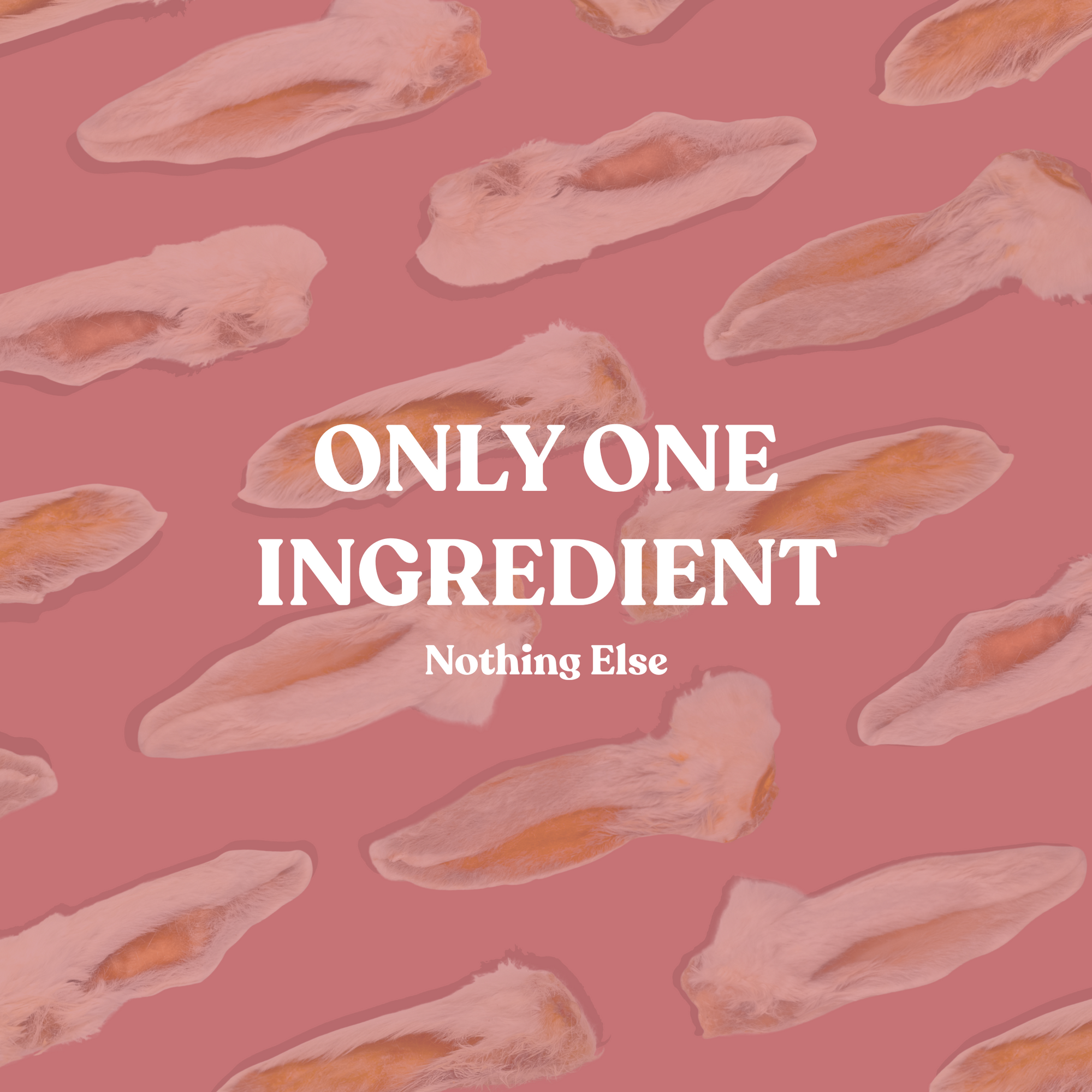 Air Dried Rabbit Ears