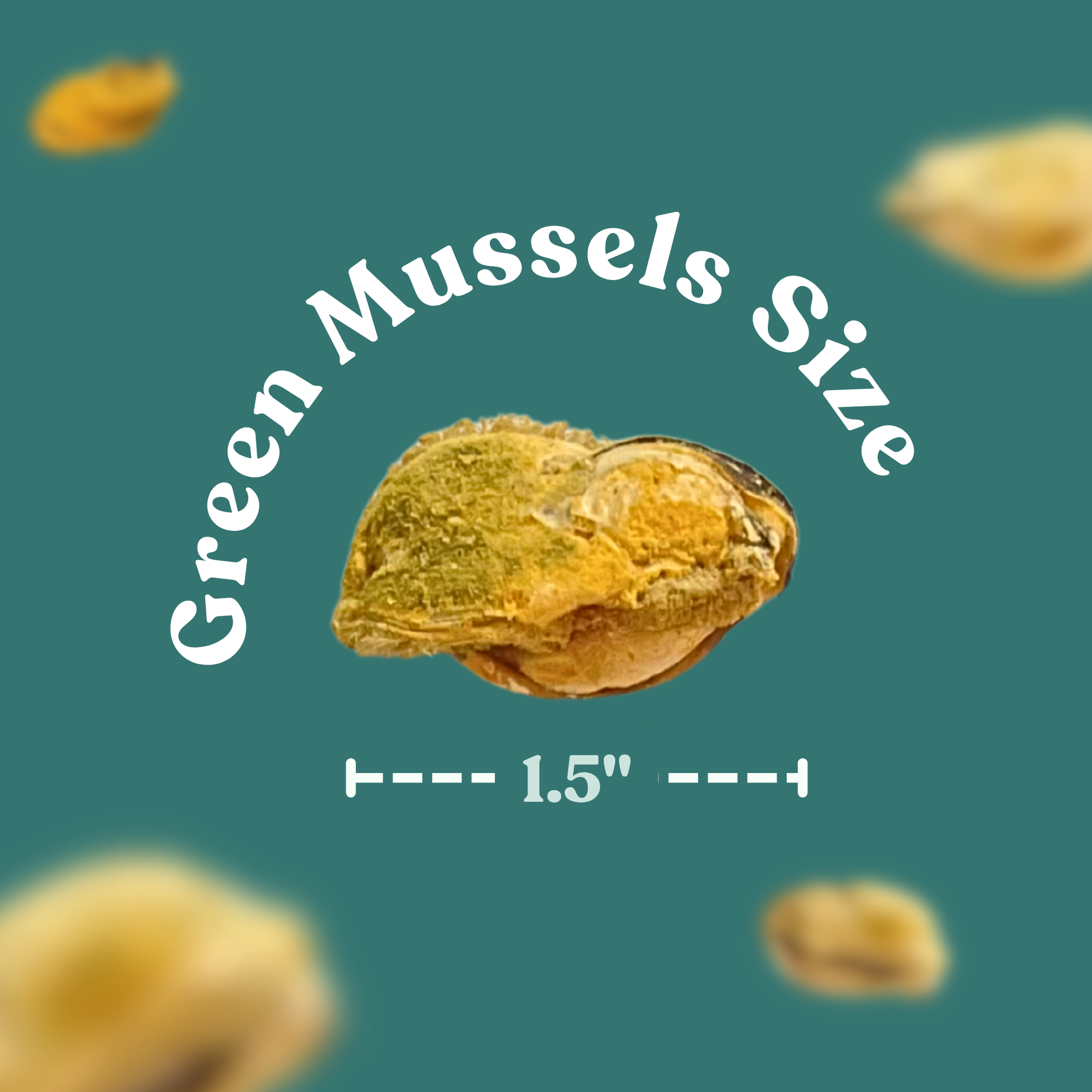 Freeze Dried Green Lipped Mussels