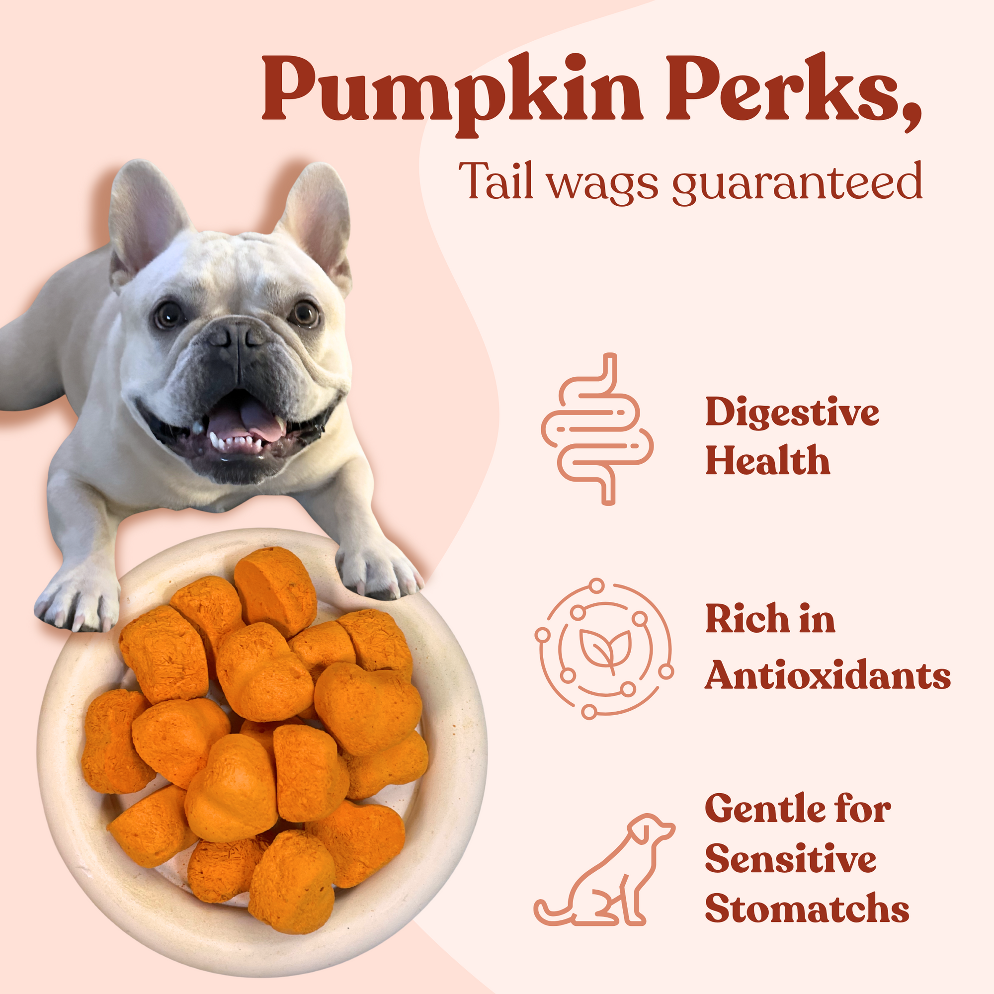 Freeze Dried Pumpkin Heart Shape