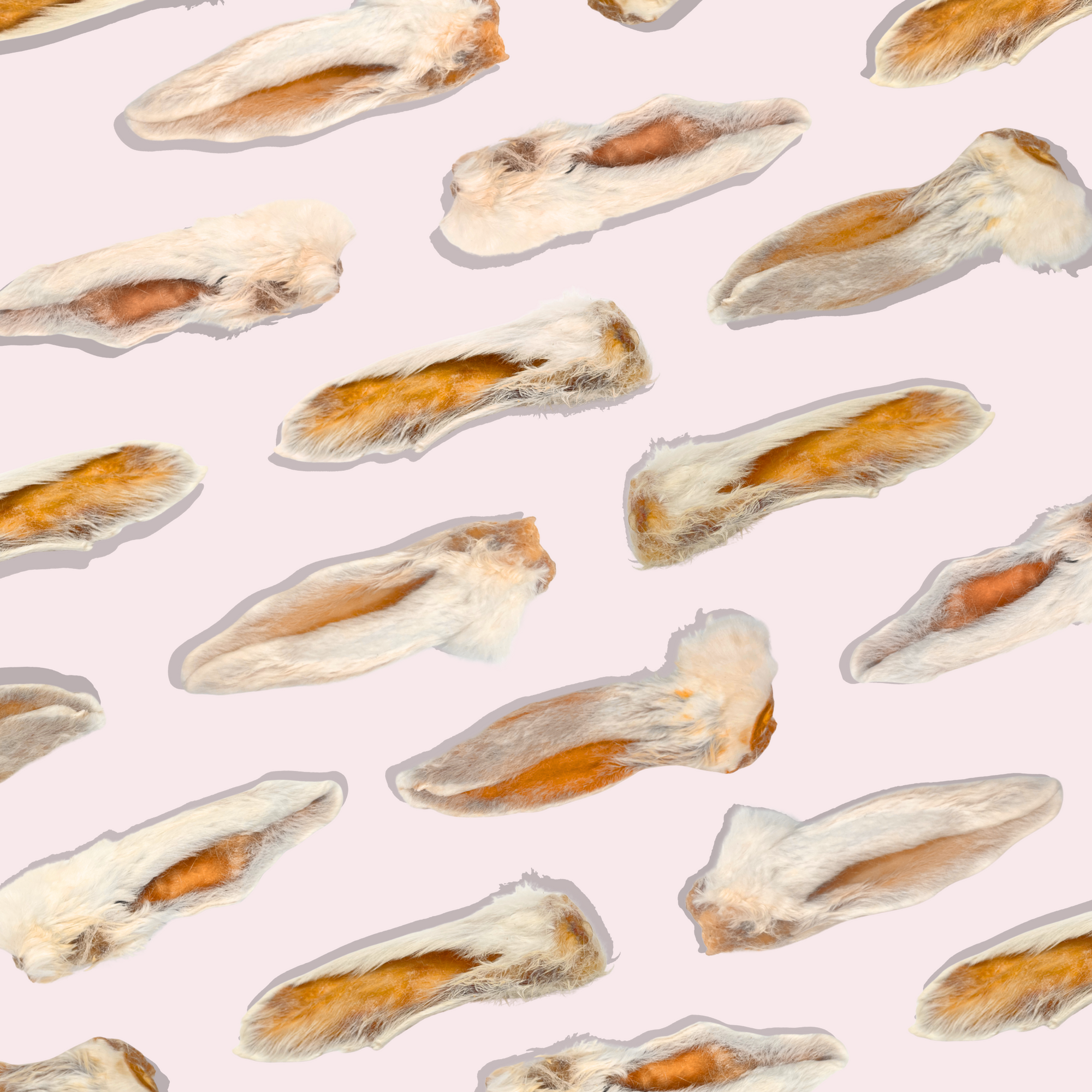 Air Dried Rabbit Ears