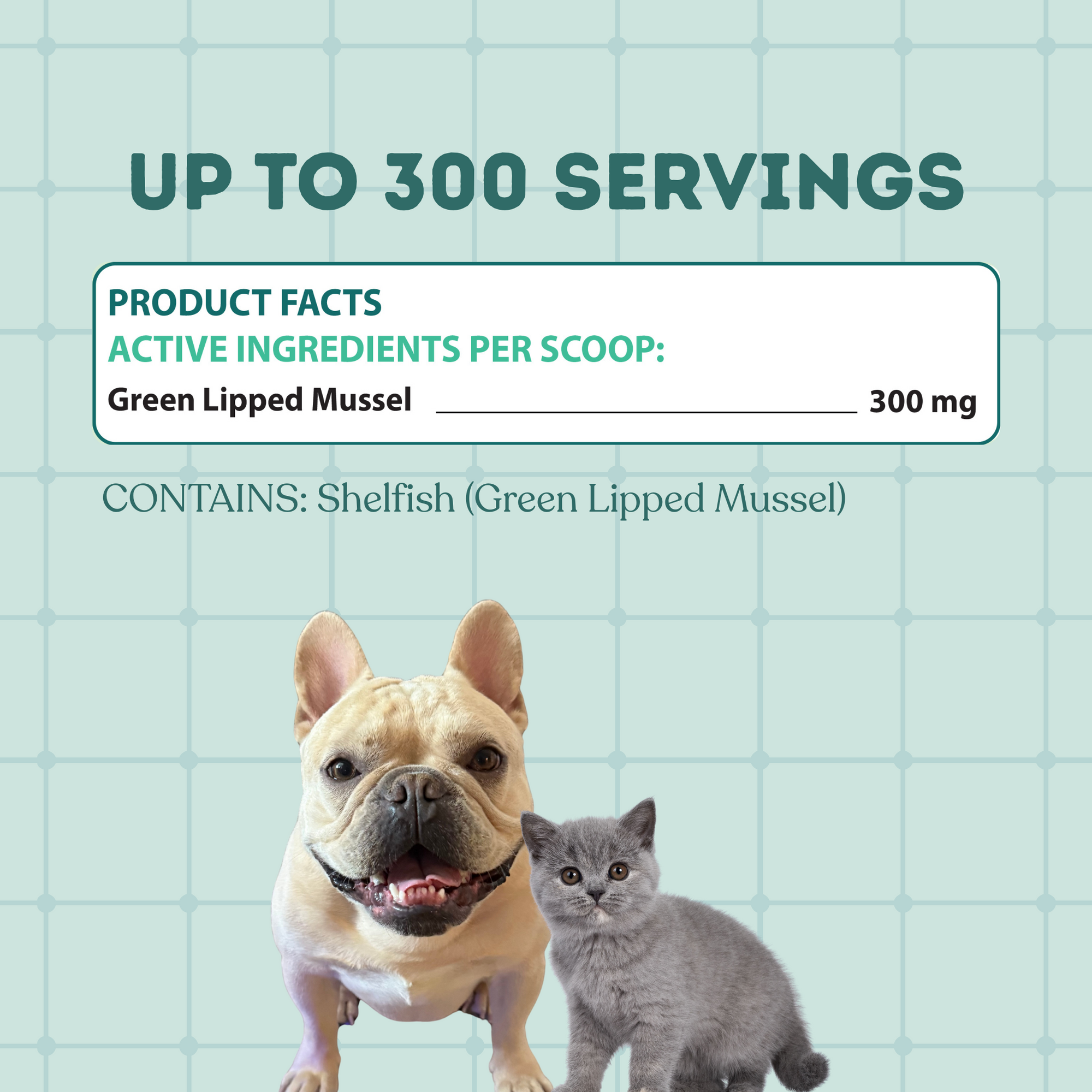 Green Lipped Mussels Powder