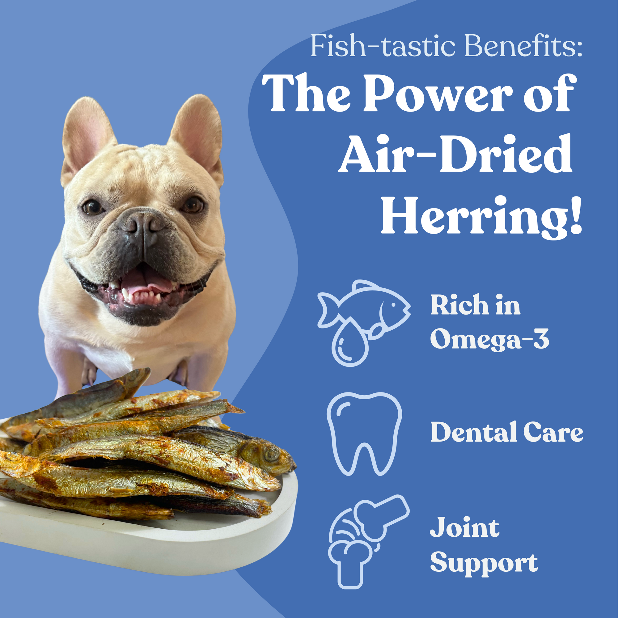 Air Dried Herring Fish