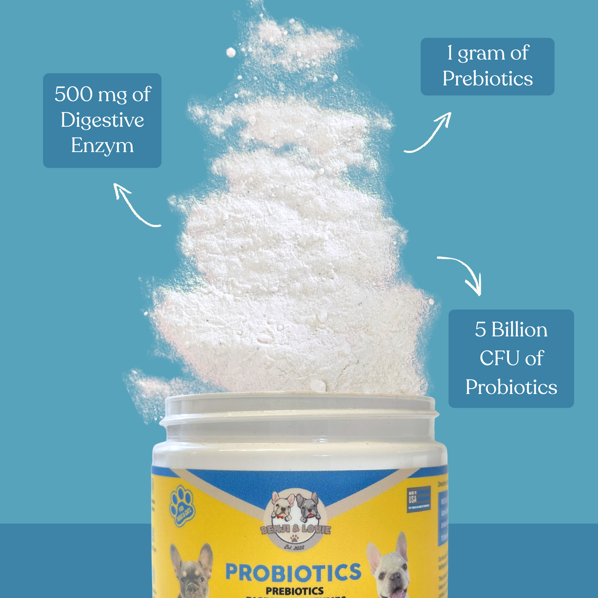 Probiotics, Prebiotics, and Digestive Enzymes