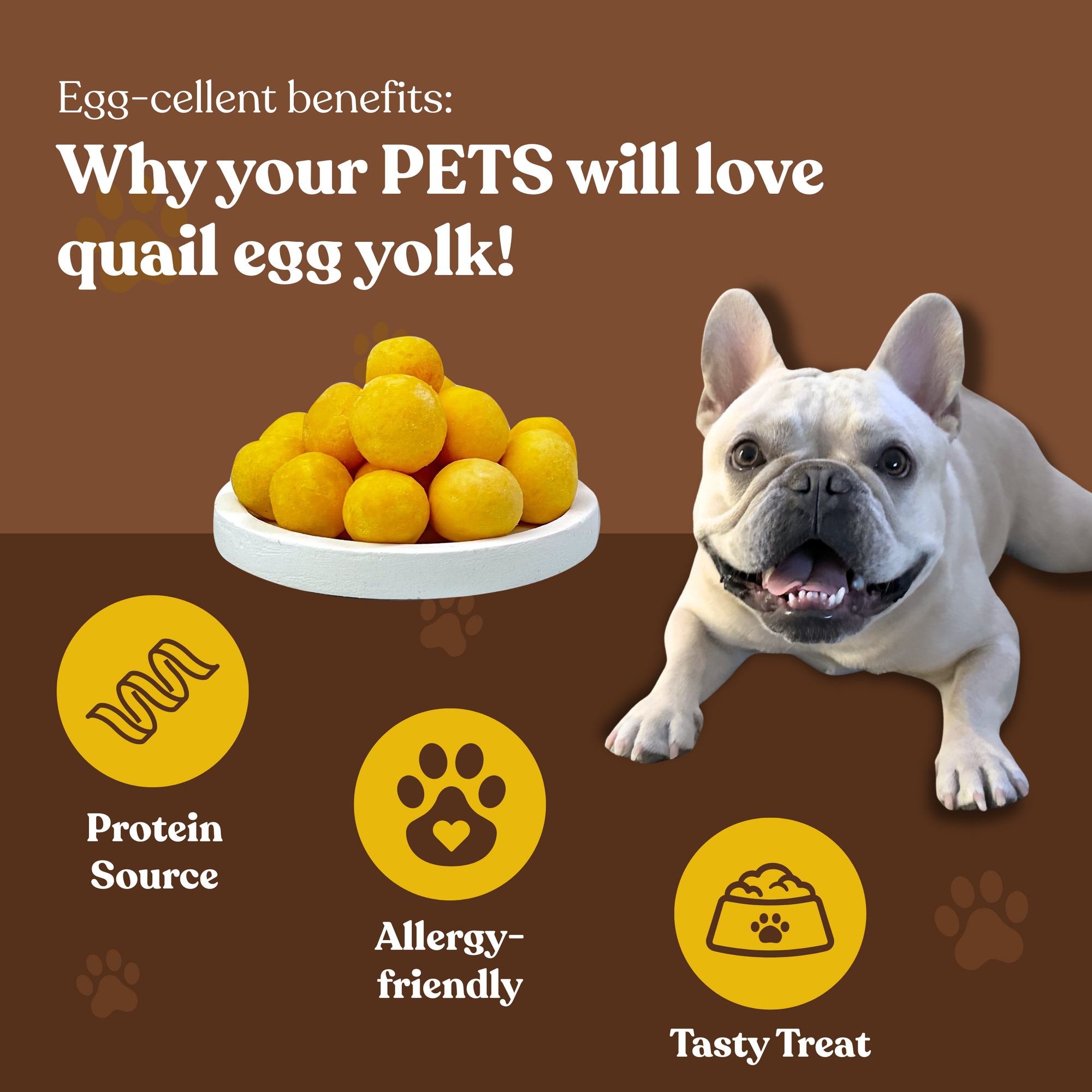 Freeze Dried Quail Egg