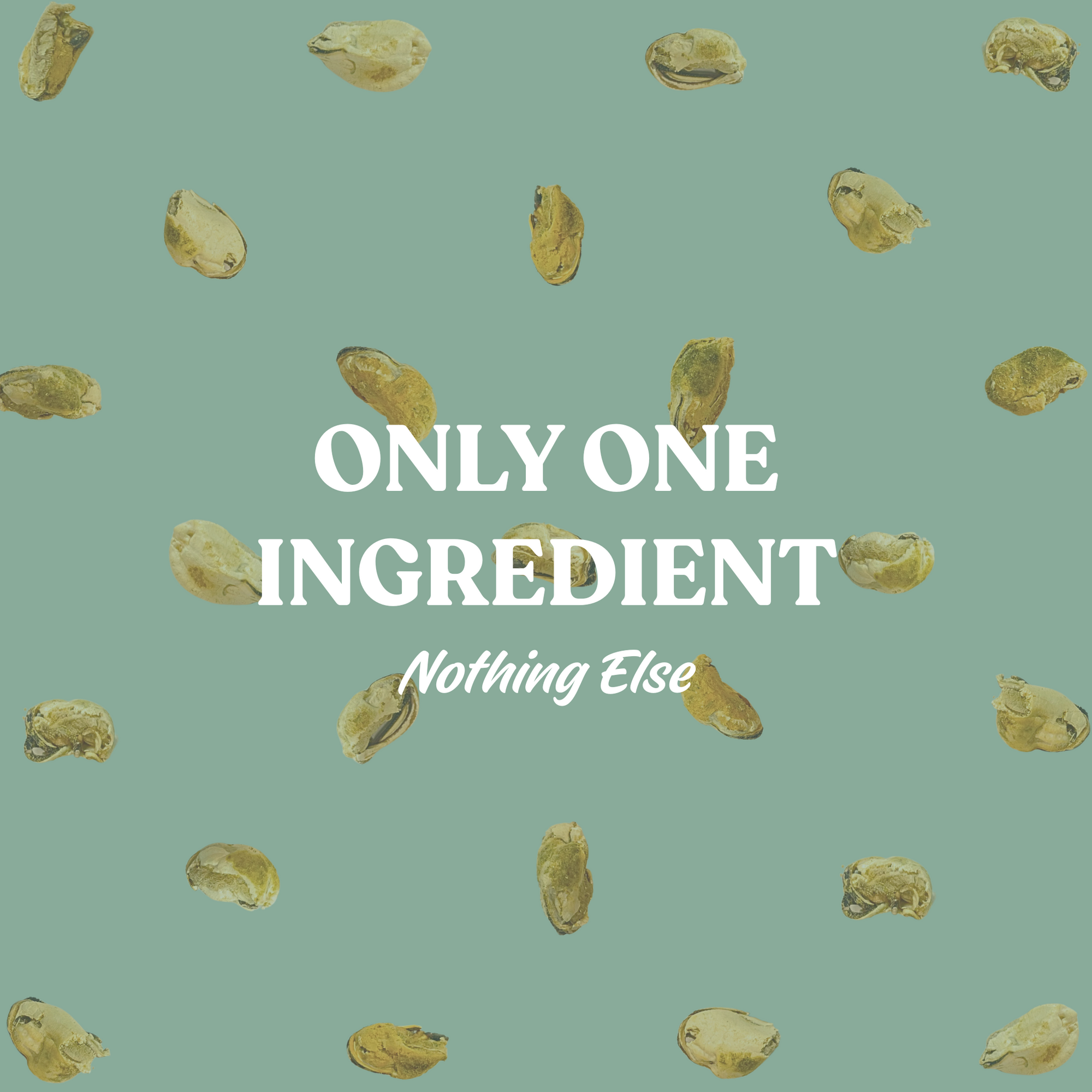 Freeze Dried Green Lipped Mussels