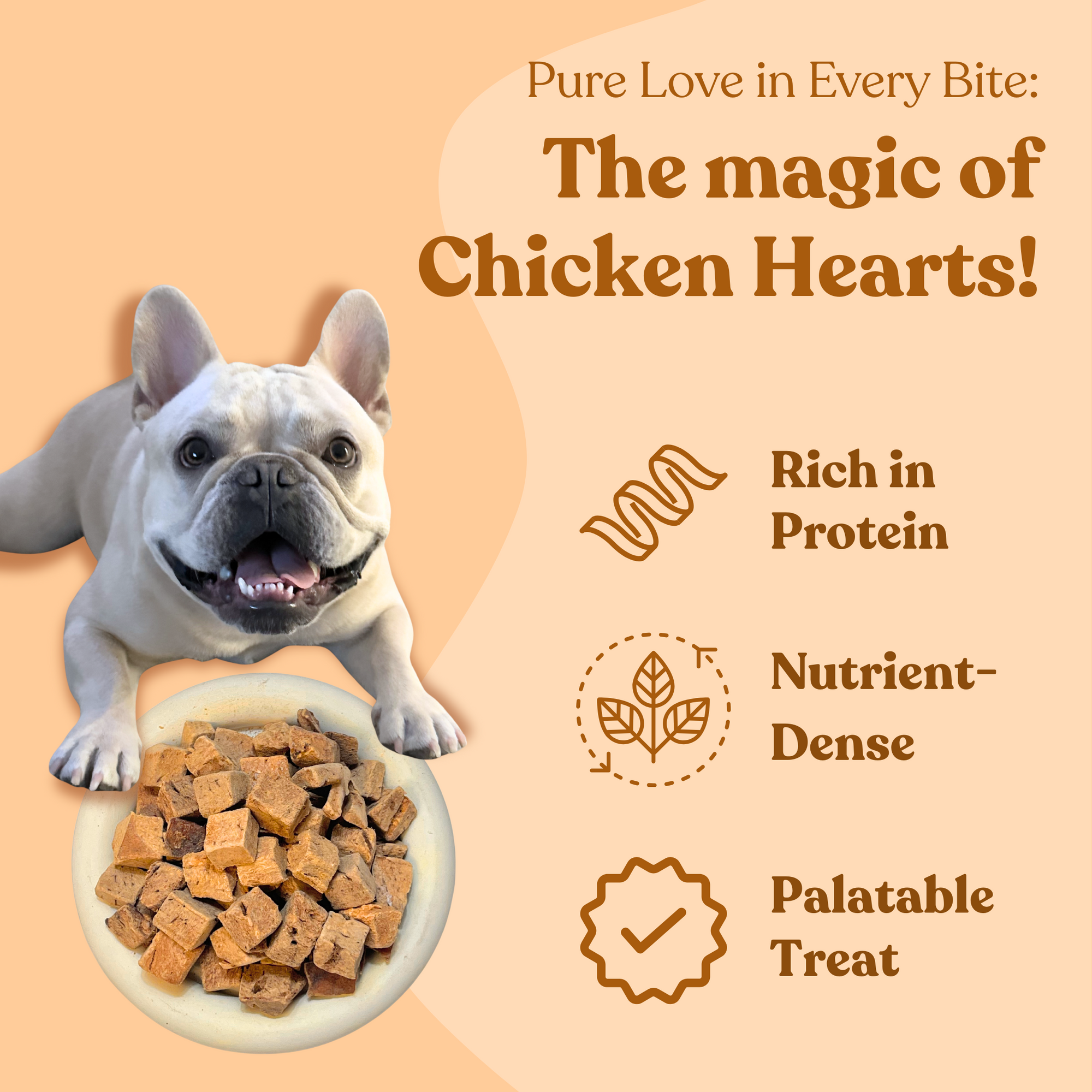 Freeze Dried Beef Liver Cubes