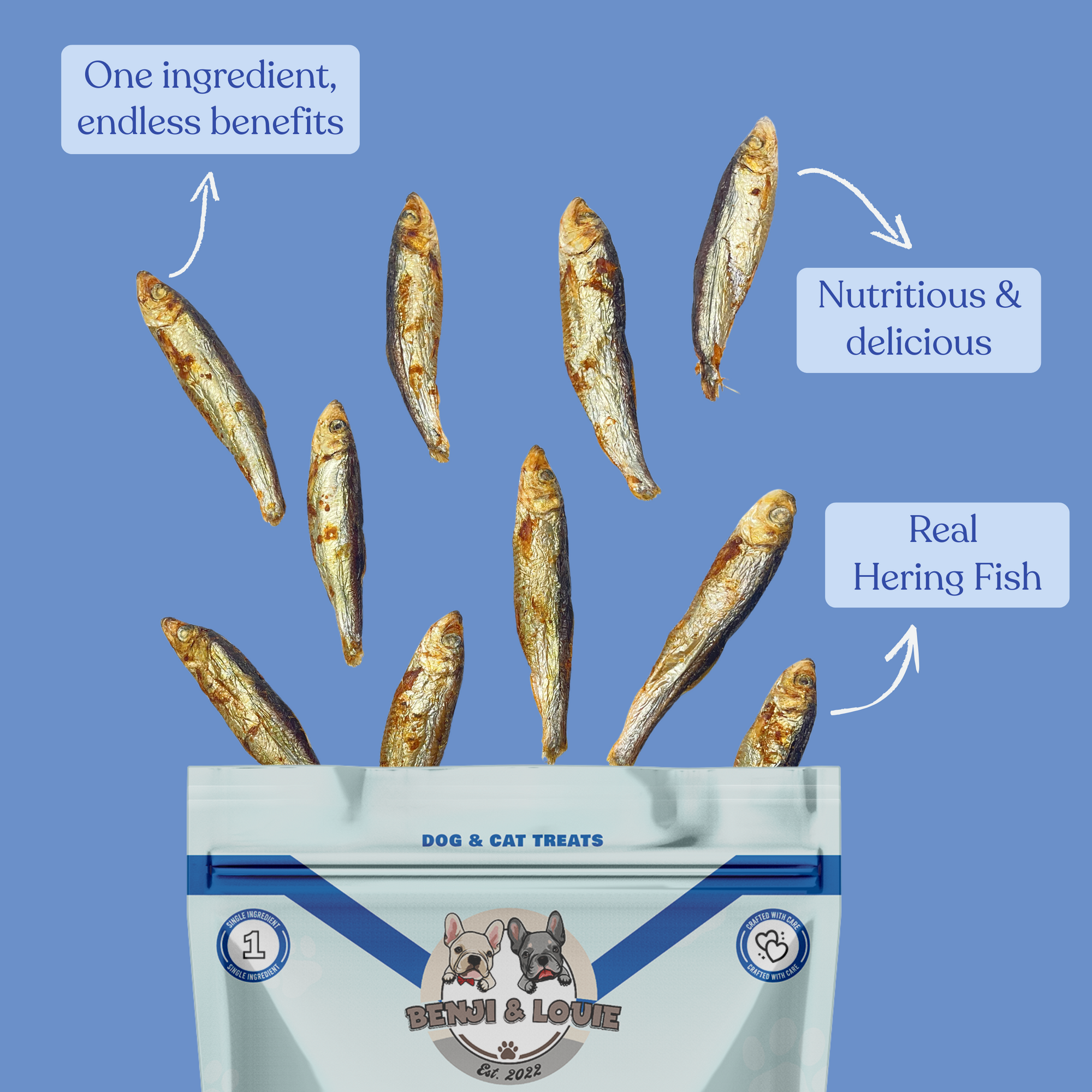 Air Dried Herring Fish