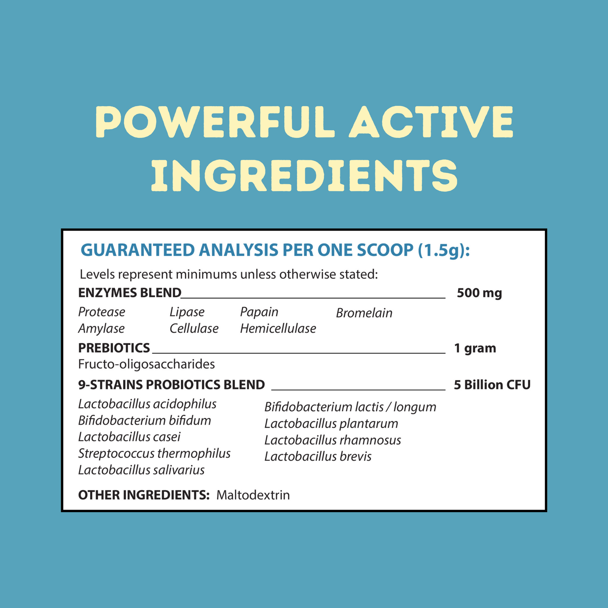 Probiotics, Prebiotics, and Digestive Enzymes