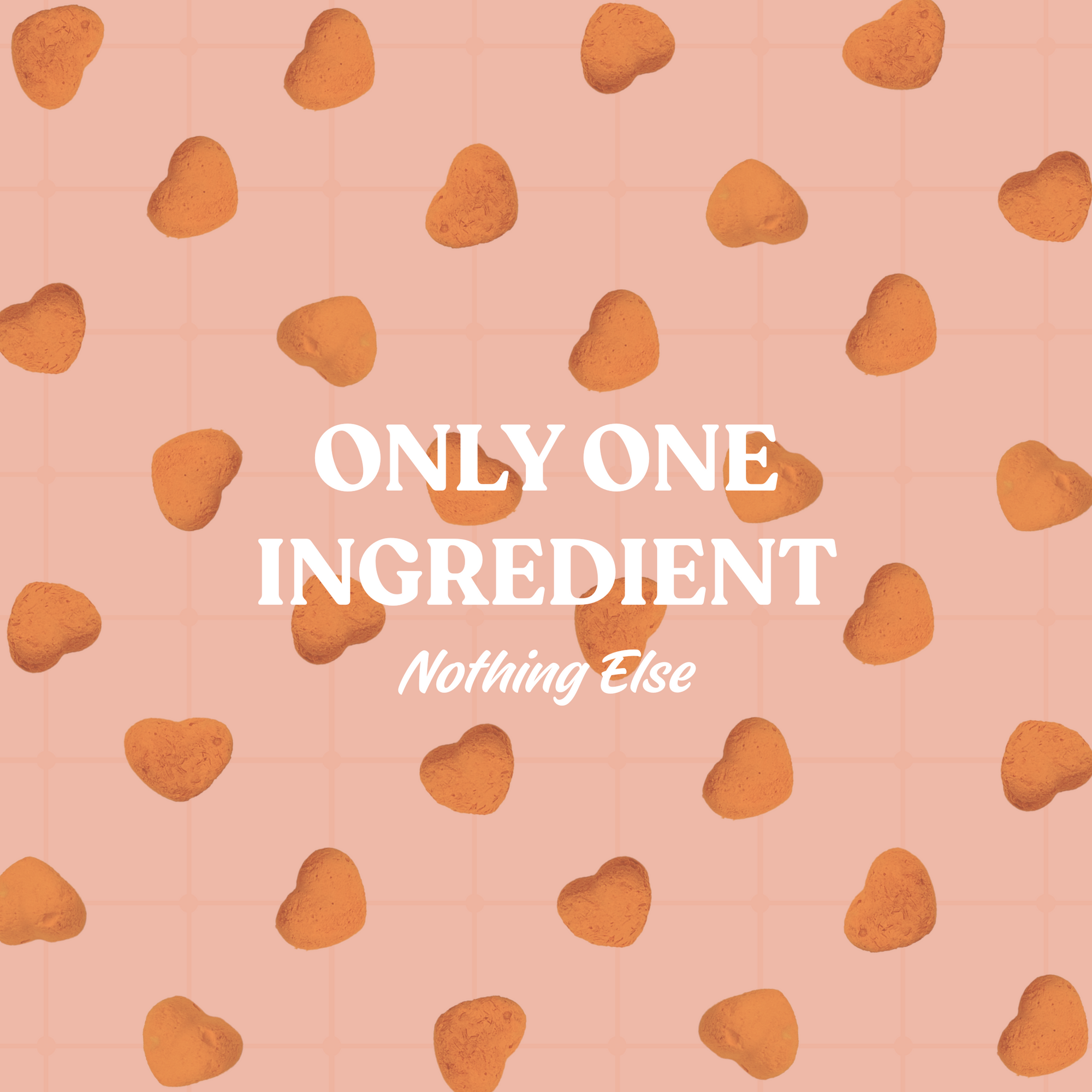 Freeze Dried Pumpkin Heart Shape