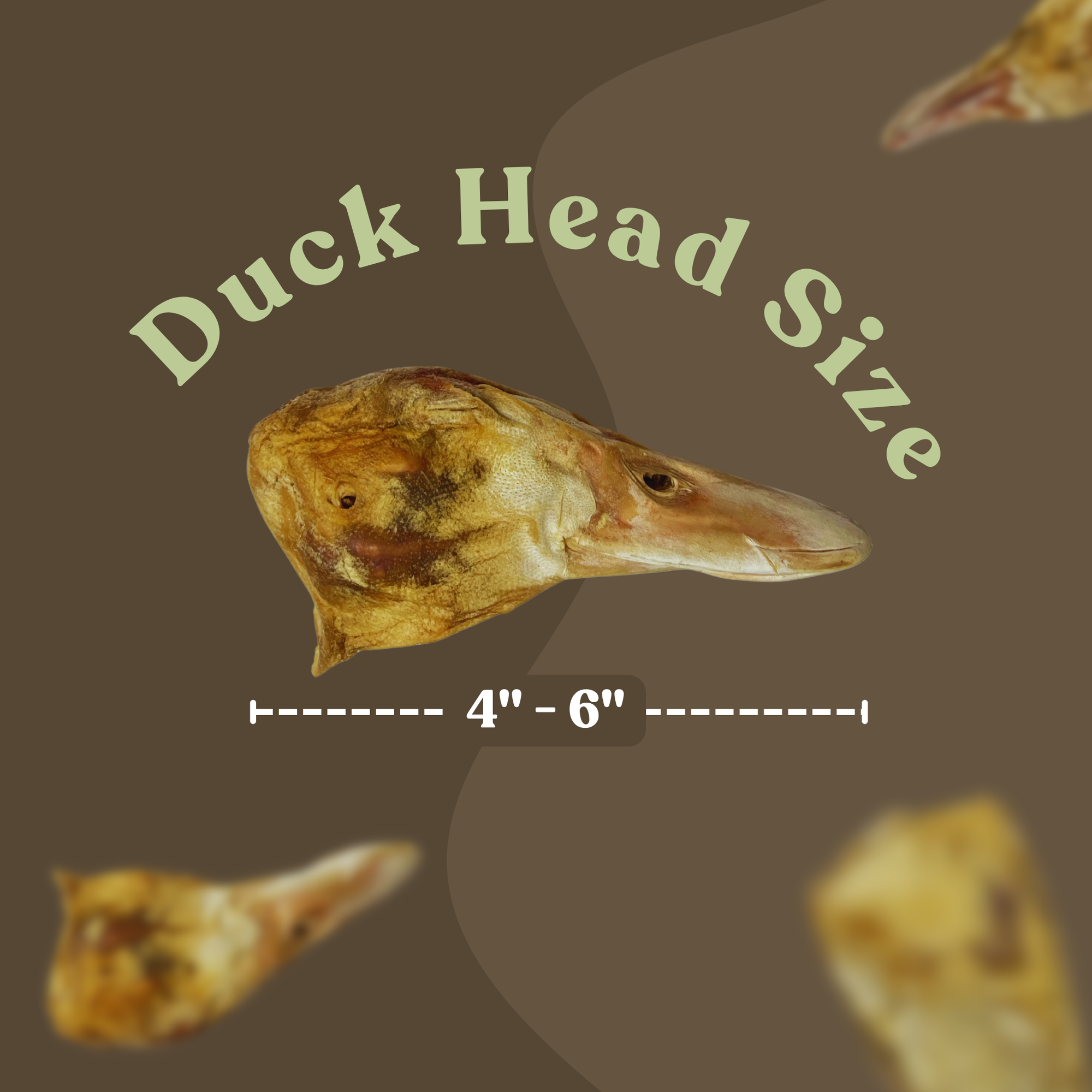 Duck Head