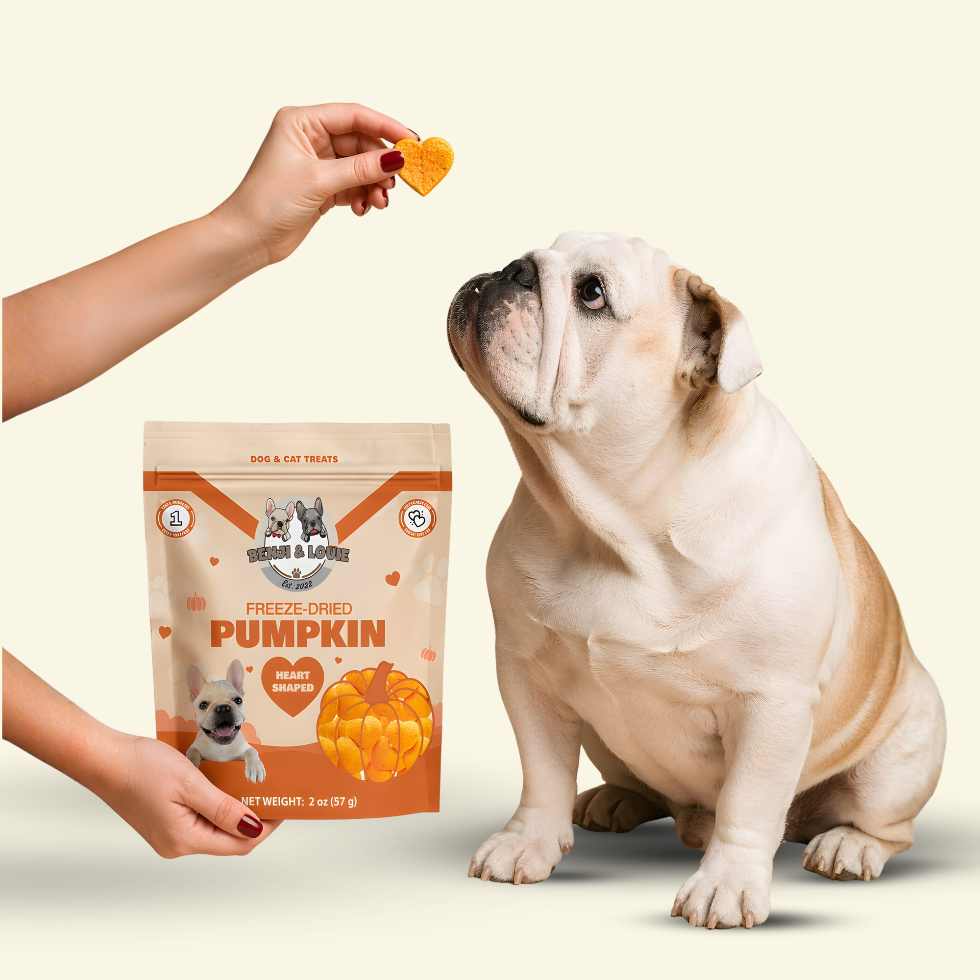 Freeze Dried Pumpkin Heart Shape