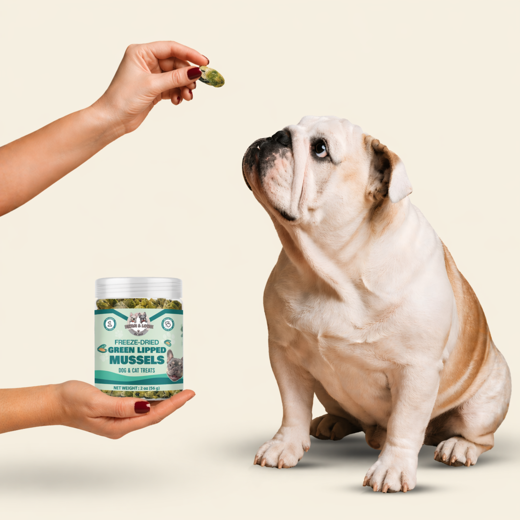 Freeze Dried Green Lipped Mussels