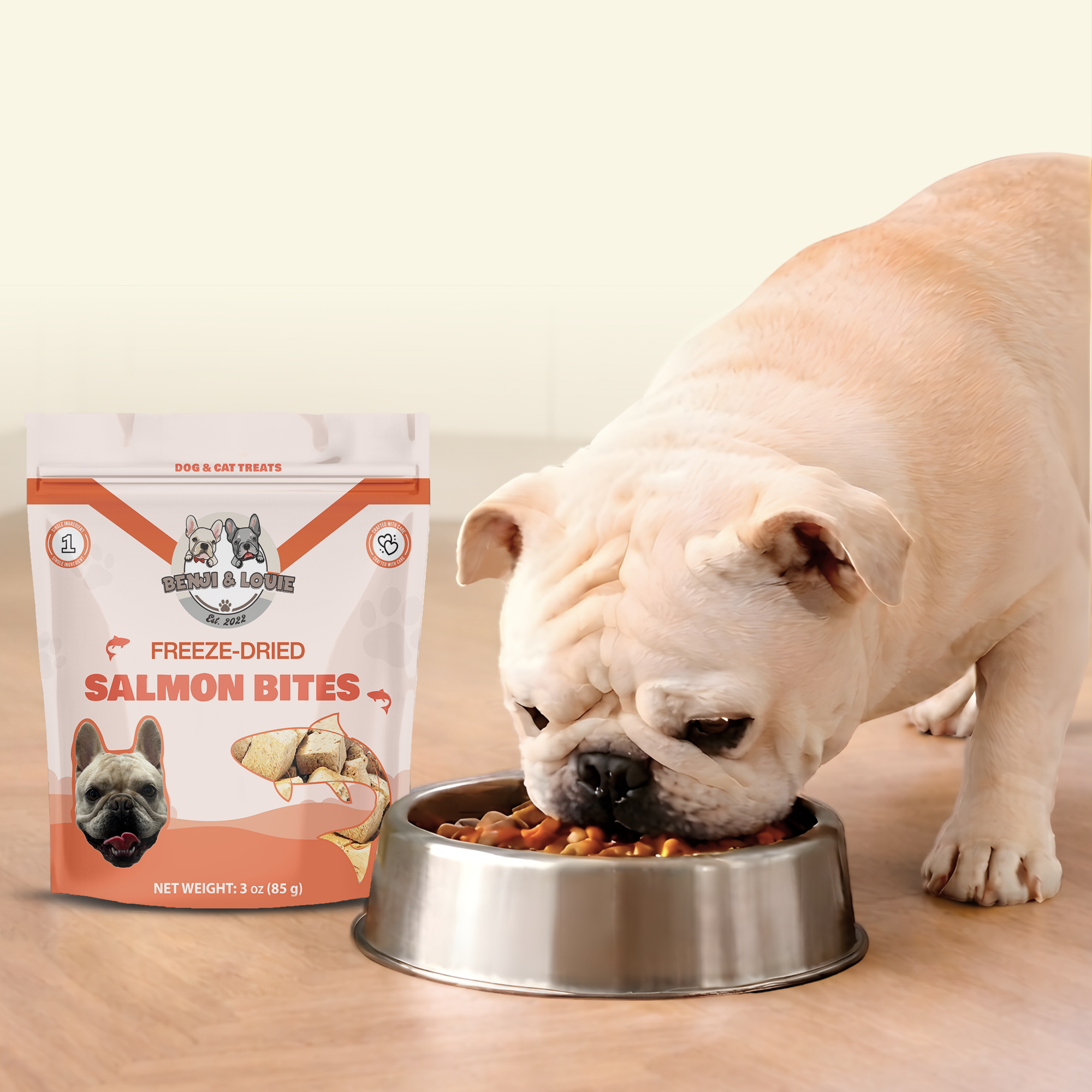 Freeze Dried Salmon Bites