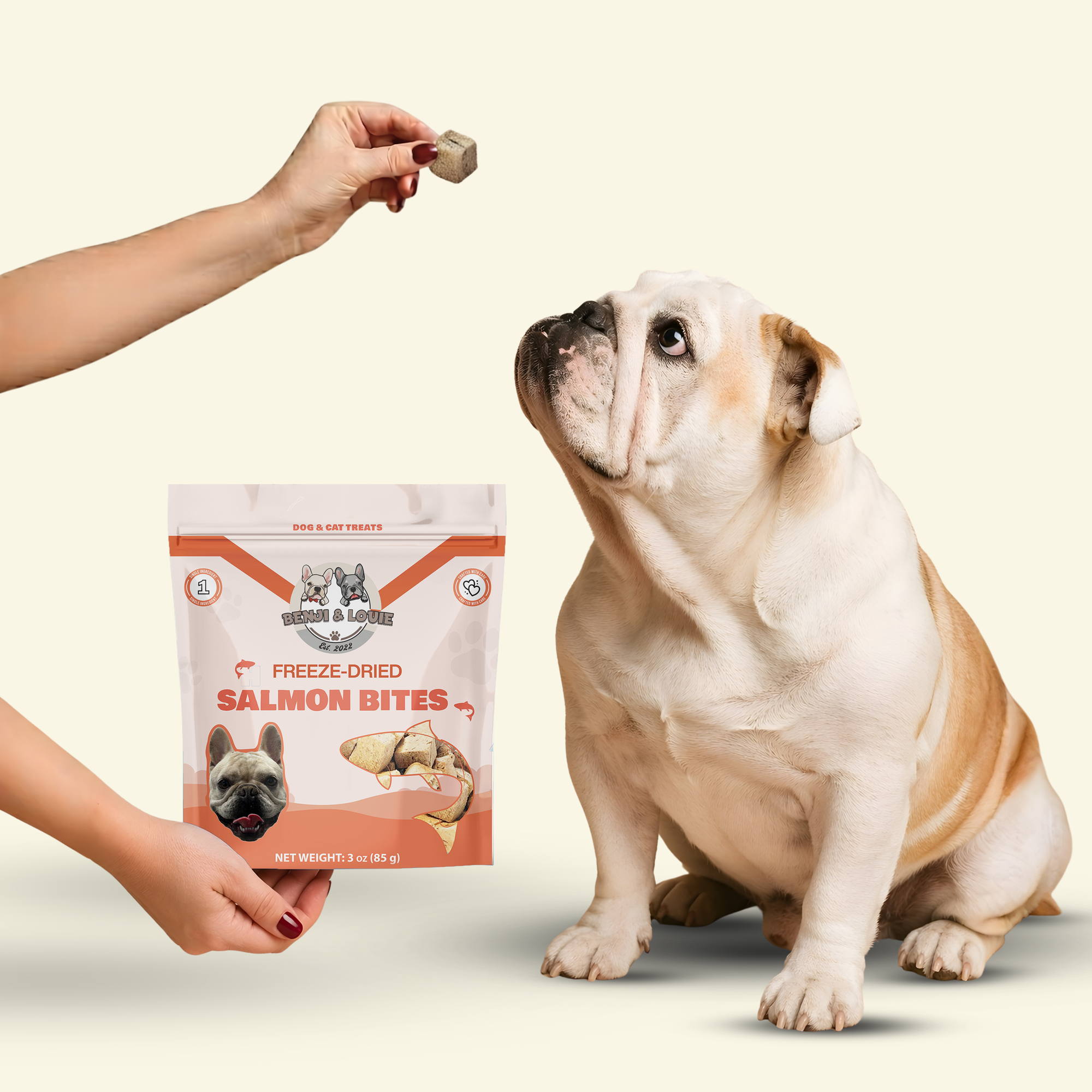 Freeze Dried Salmon Bites