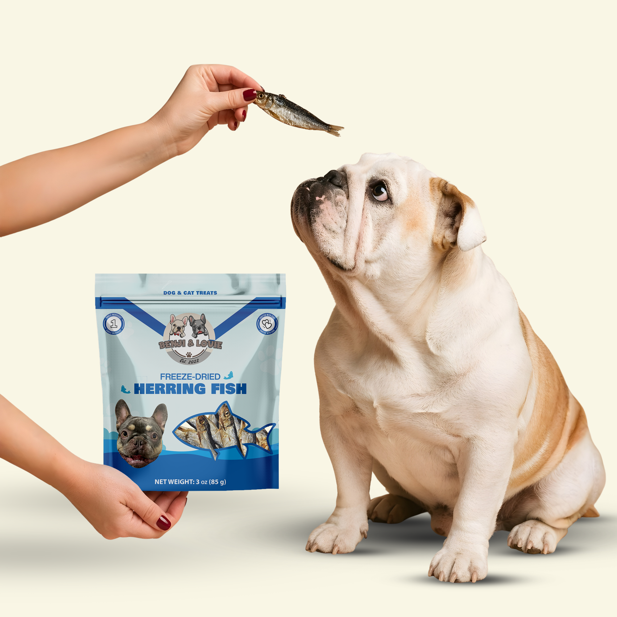 Freeze Dried Herring Fish