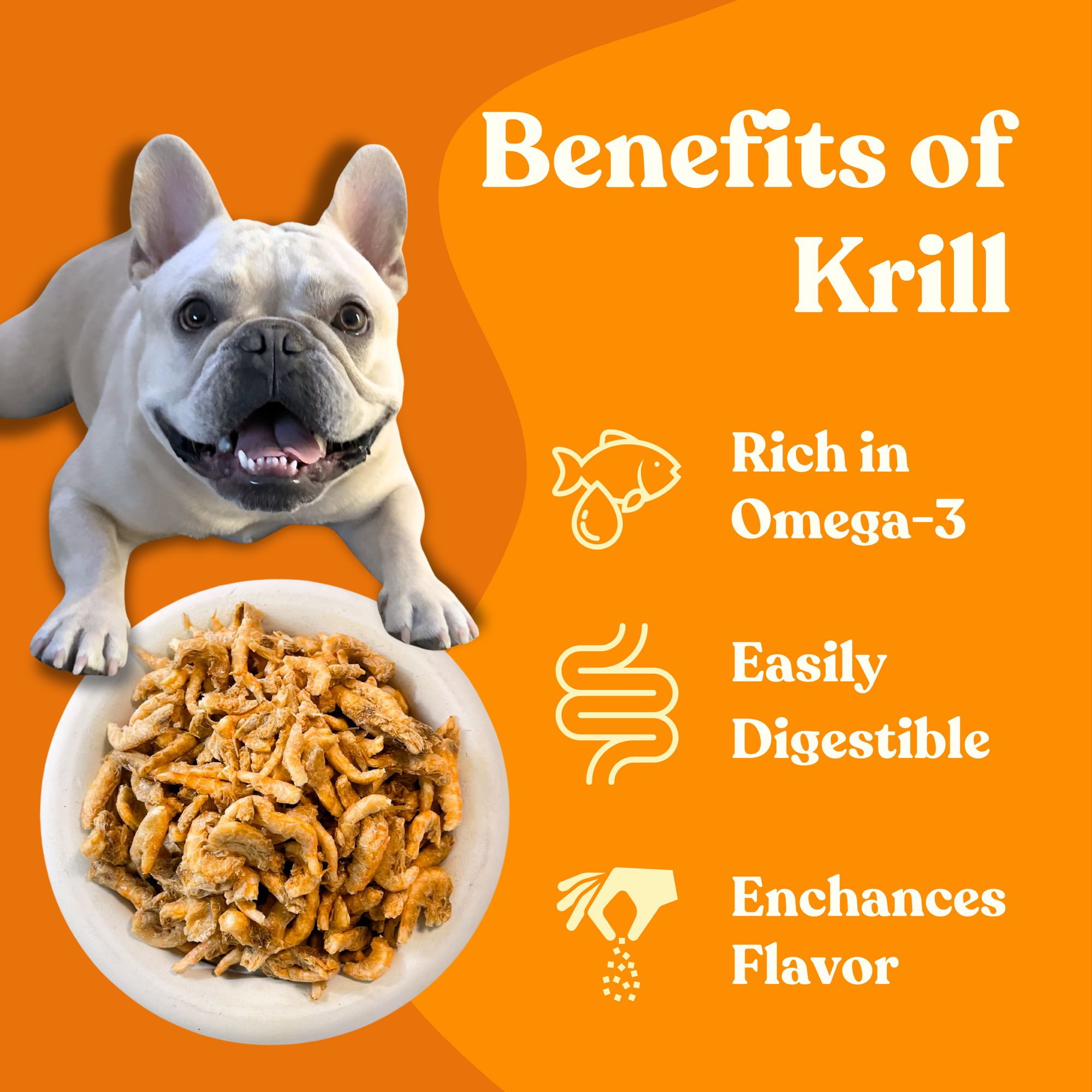 Krill