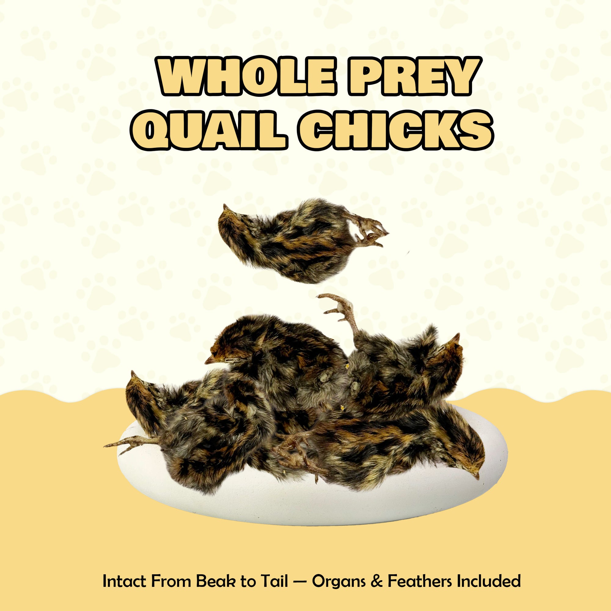 Freeze Dried Quail Chicks