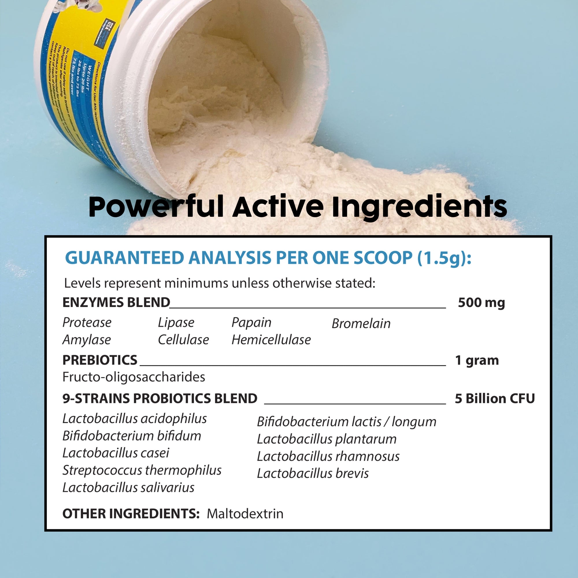 Probiotics, Prebiotics, and Digestive Enzymes