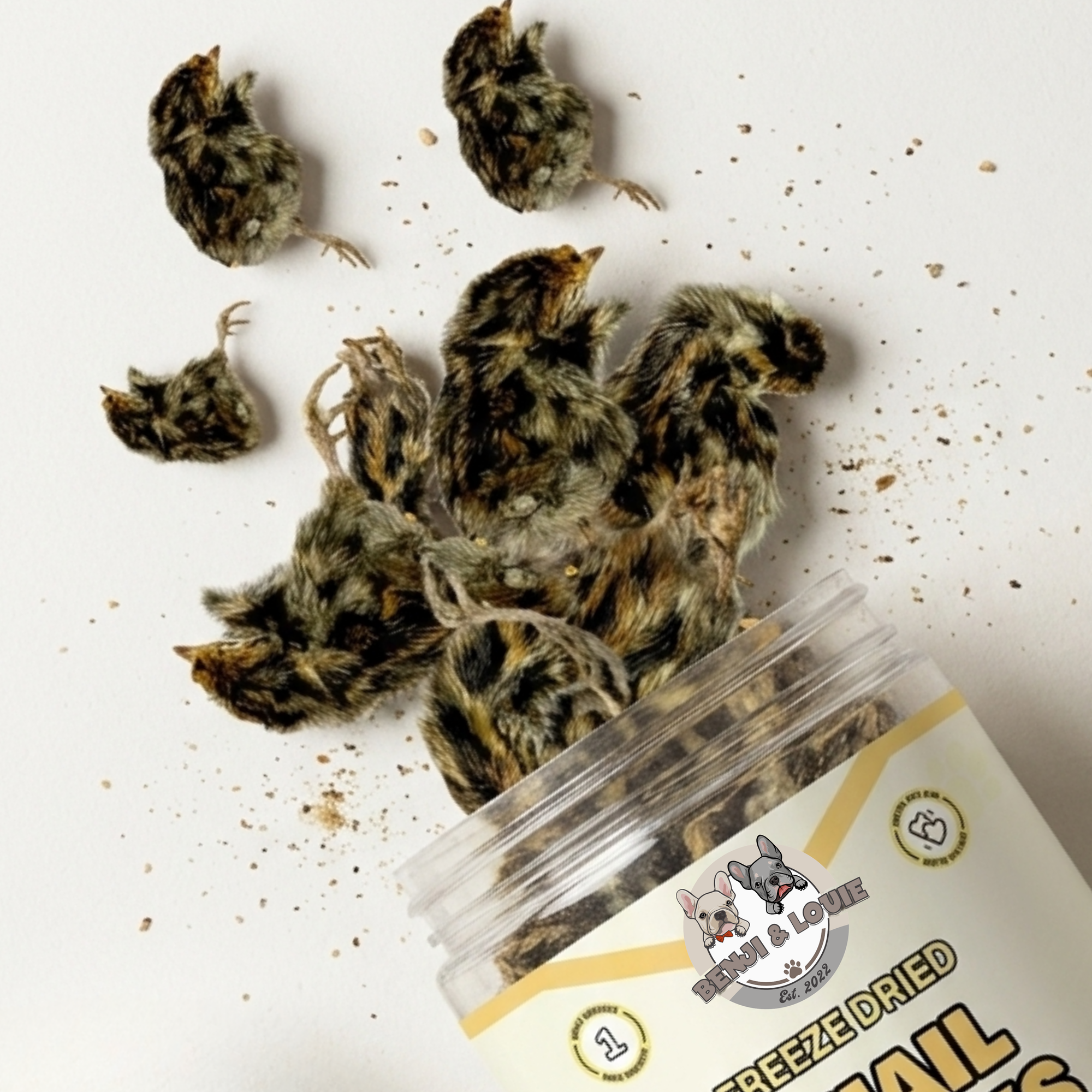 Freeze Dried Quail Chicks