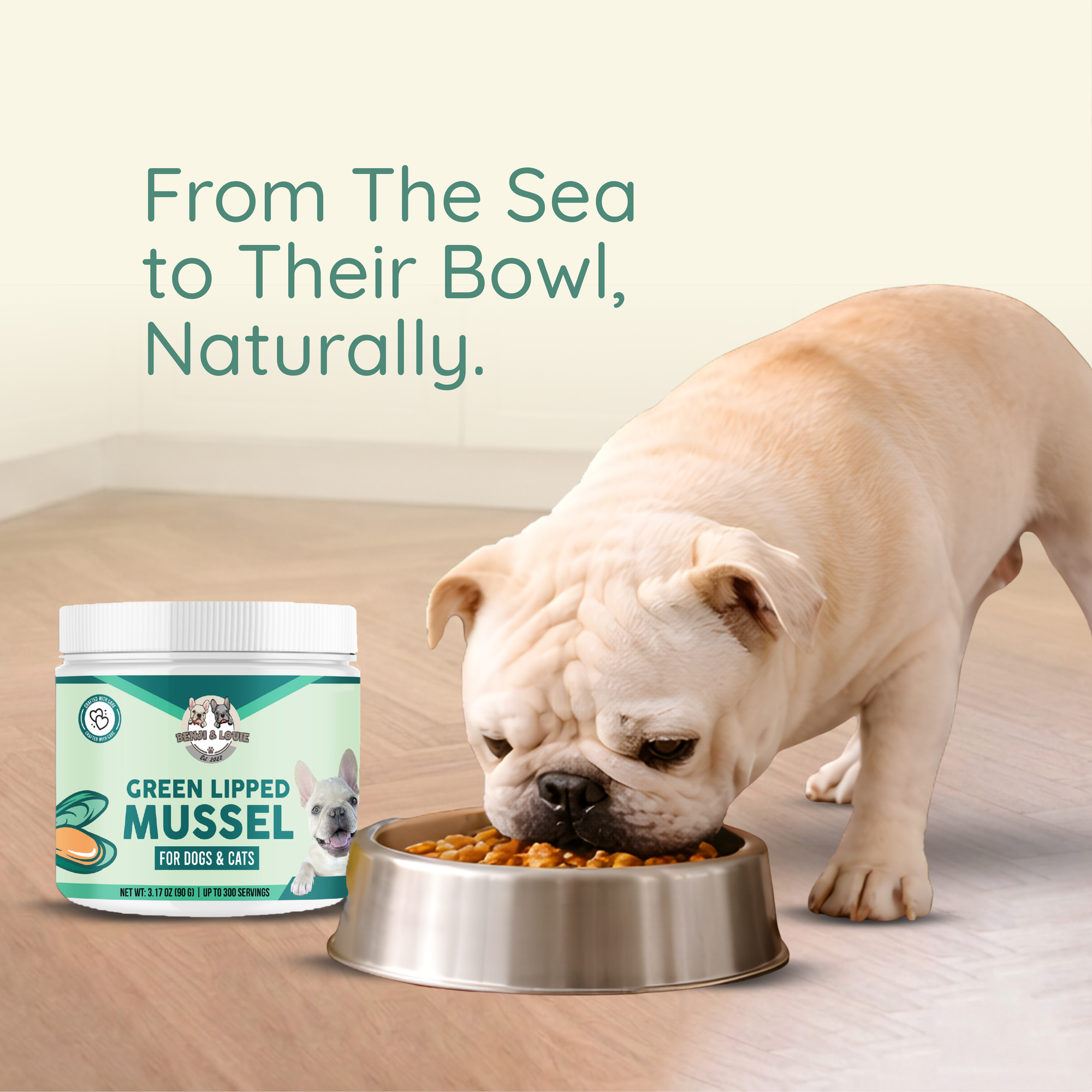 Green Lipped Mussels Powder