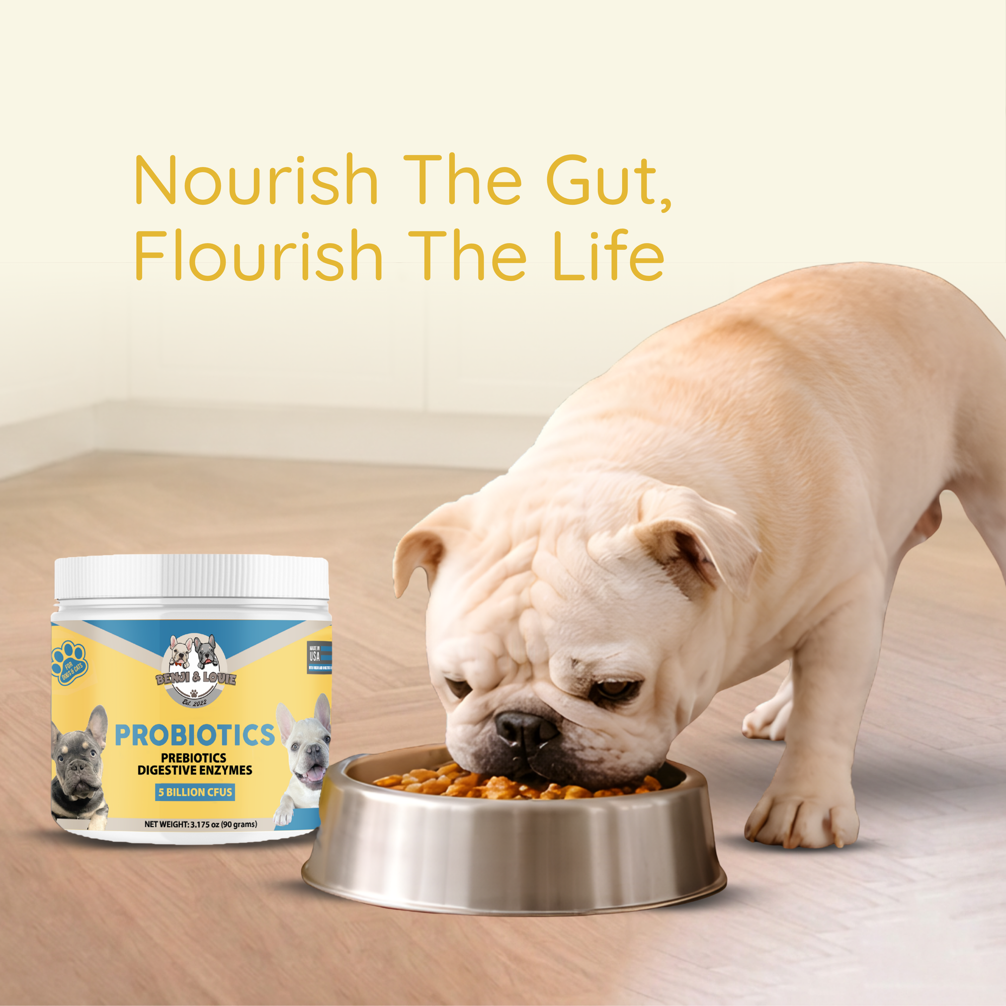 Probiotics, Prebiotics, and Digestive Enzymes