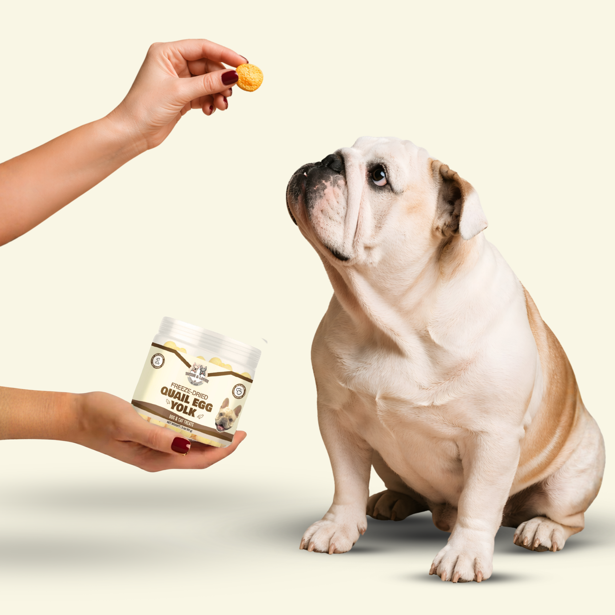 Freeze Dried Quail Egg
