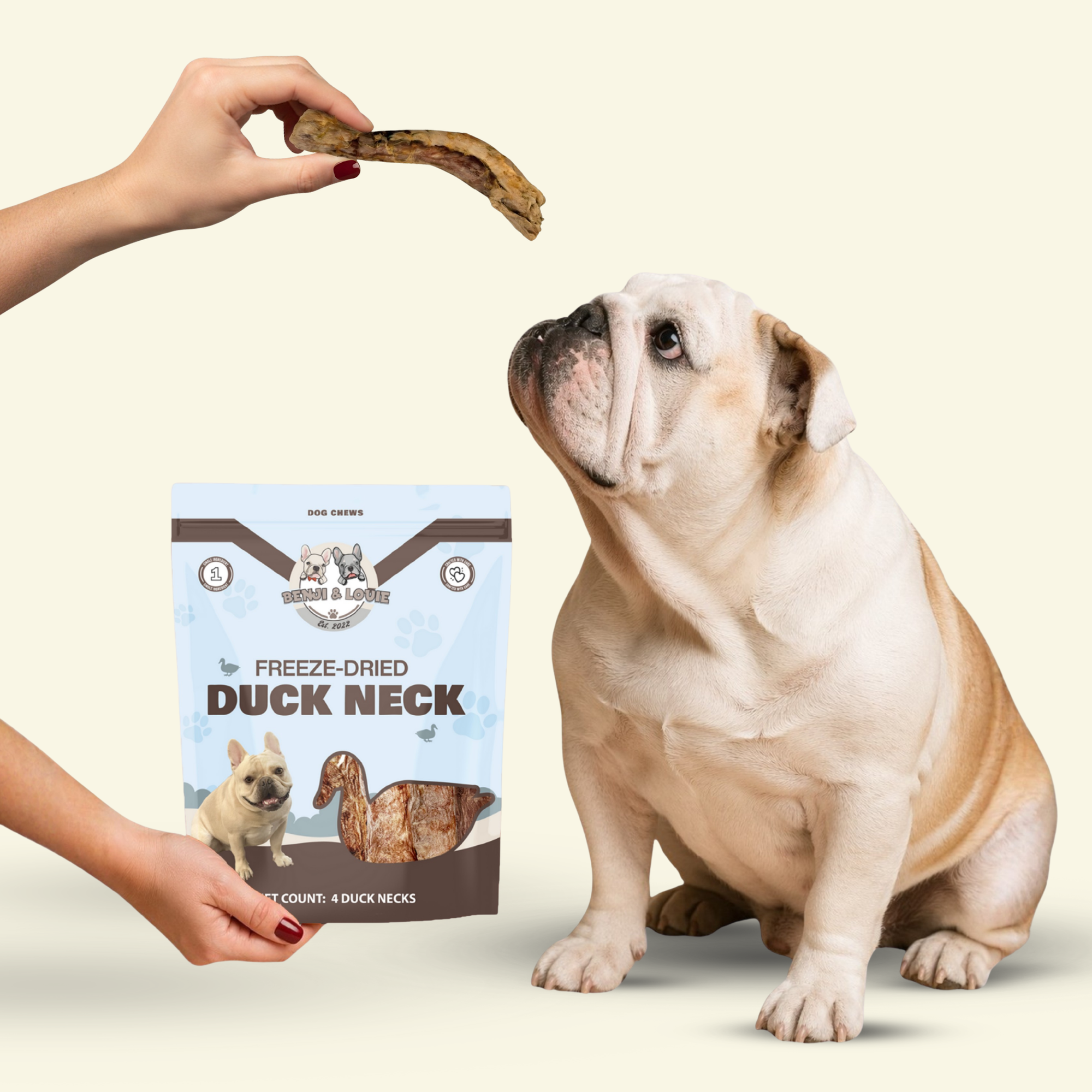 Freeze Dried Duck Neck